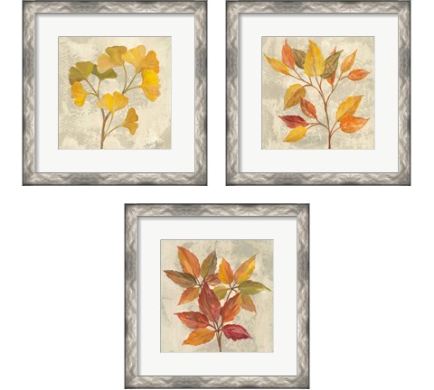 November Leaves 3 Piece Framed Art Print Set by Silvia Vassileva