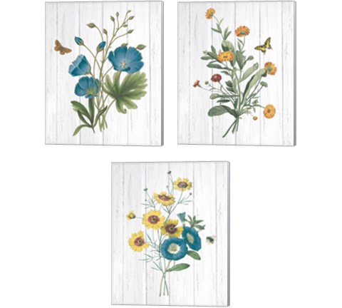 Botanical Bouquet on Wood 3 Piece Canvas Print Set by Wild Apple Portfolio
