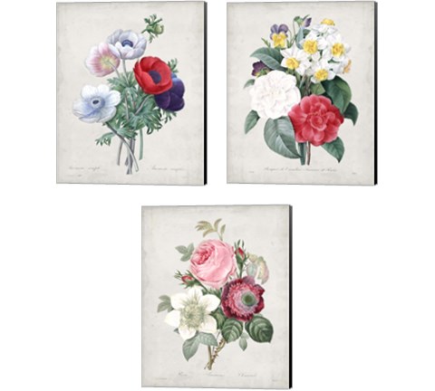 Bouquet  3 Piece Canvas Print Set by Pierre-Joseph Redoute