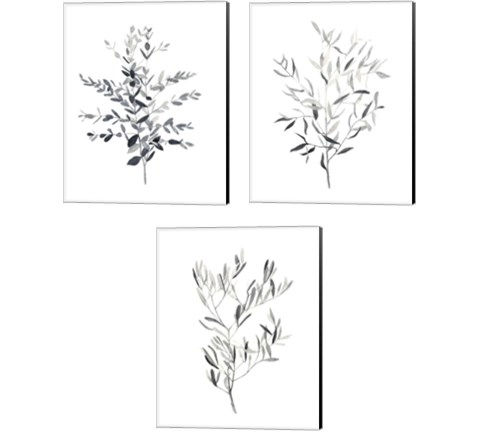Paynes Grey Botanicals 3 Piece Canvas Print Set by Emma Scarvey