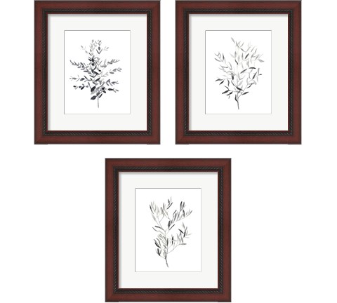 Paynes Grey Botanicals 3 Piece Framed Art Print Set by Emma Scarvey