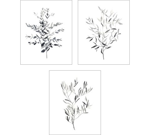 Paynes Grey Botanicals 3 Piece Art Print Set by Emma Scarvey
