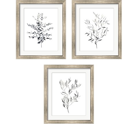 Paynes Grey Botanicals 3 Piece Framed Art Print Set by Emma Scarvey