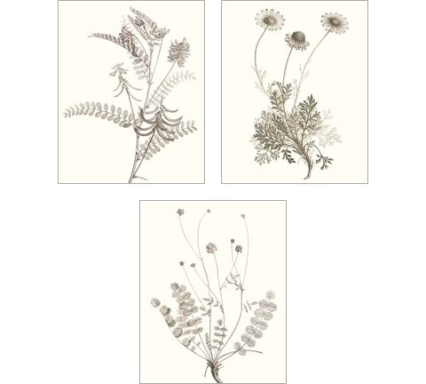 Neutral Botanical Study 3 Piece Art Print Set by Vision Studio