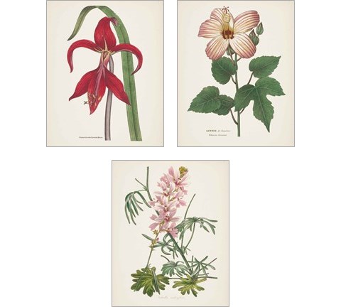 Antique BotanicalCream 3 Piece Art Print Set by Wild Apple Portfolio