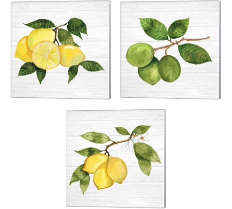 Citrus Garden Shiplap 3 Piece Canvas Print Set by Kathleen Parr McKenna