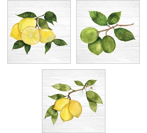 Citrus Garden Shiplap 3 Piece Art Print Set by Kathleen Parr McKenna