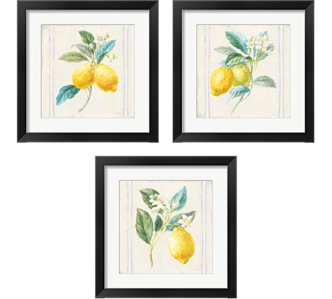Floursack Lemons Sq Navy 3 Piece Framed Art Print Set by Danhui Nai