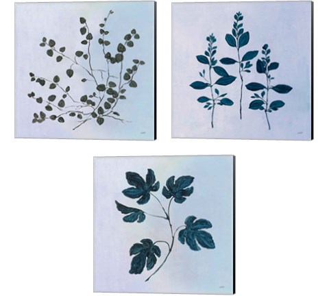 Botanical StudyBlue 3 Piece Canvas Print Set by Julia Purinton