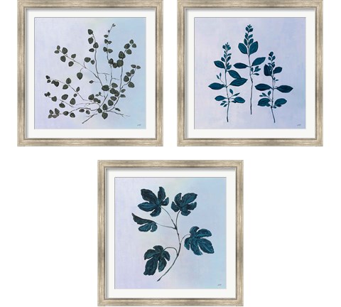 Botanical StudyBlue 3 Piece Framed Art Print Set by Julia Purinton
