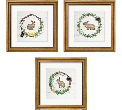 Spring Wreath 3 Piece Framed Art Print Set by Jennifer Pugh