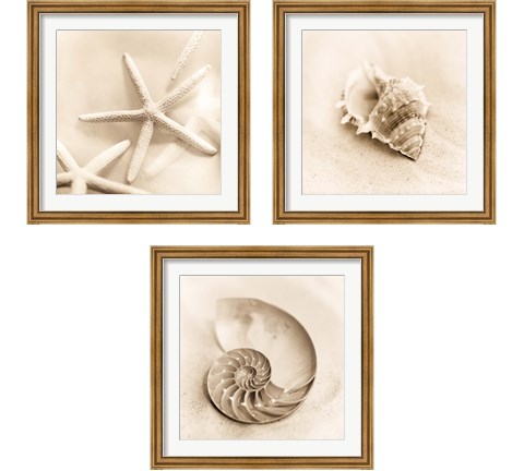 Il Oceano 3 Piece Framed Art Print Set by Alan Blaustein