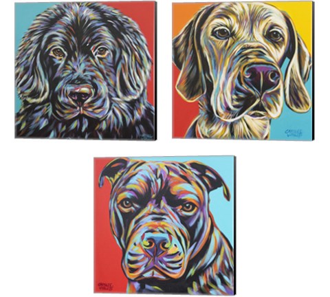 Canine Buddy 3 Piece Canvas Print Set by Carolee Vitaletti