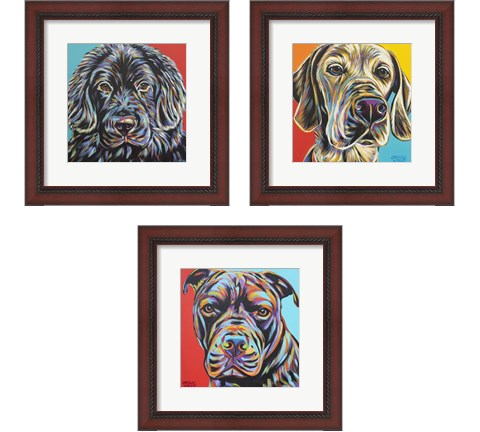 Canine Buddy 3 Piece Framed Art Print Set by Carolee Vitaletti