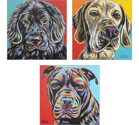 Canine Buddy 3 Piece Art Print Set by Carolee Vitaletti