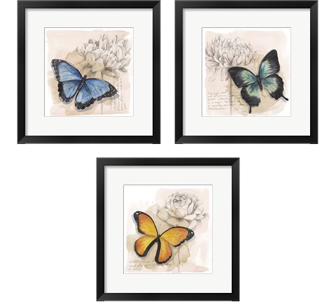 Shadow Box Butterfly 3 Piece Framed Art Print Set by Grace Popp
