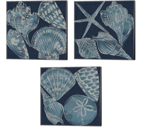 Marine Shells 3 Piece Canvas Print Set by Chariklia Zarris