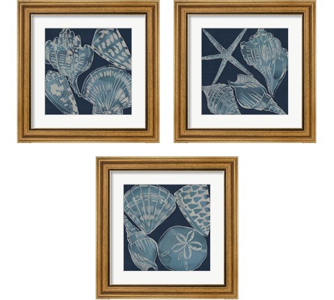 Marine Shells 3 Piece Framed Art Print Set by Chariklia Zarris