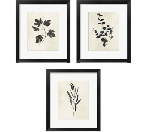 Botanical Study 3 Piece Framed Art Print Set by Julia Purinton