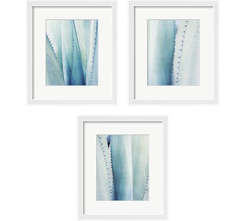 Pale Blue Agave 3 Piece Framed Art Print Set by Lupen Grainne