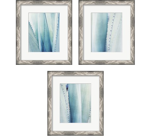 Pale Blue Agave 3 Piece Framed Art Print Set by Lupen Grainne