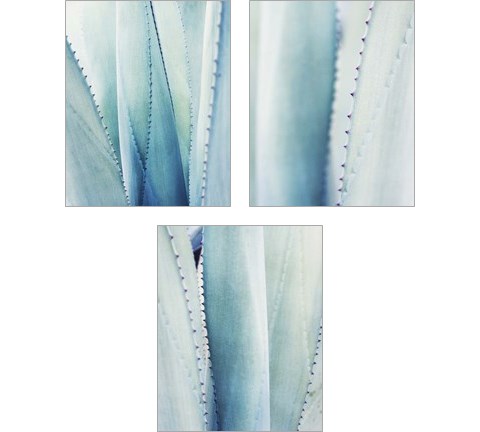 Pale Blue Agave 3 Piece Art Print Set by Lupen Grainne