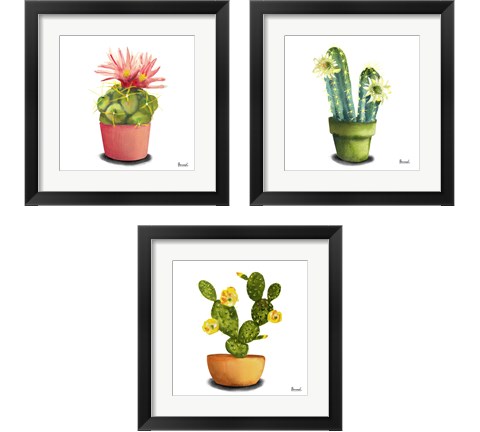 Cactus Flowers 3 Piece Framed Art Print Set by Bannarot