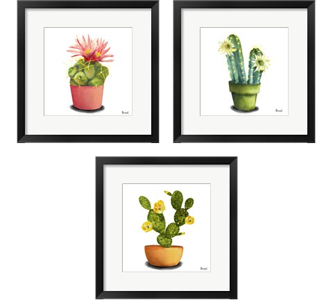 Cactus Flowers 3 Piece Framed Art Print Set by Bannarot