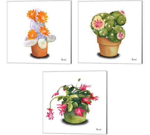Cactus Flowers 3 Piece Canvas Print Set by Bannarot