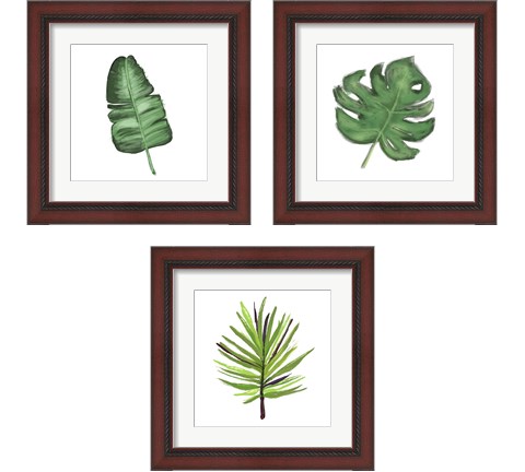 Leaves of the Tropics  3 Piece Framed Art Print Set by Hartworks