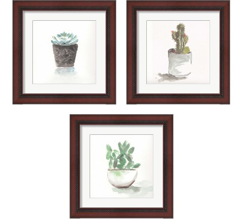 Watercolor Cactus Still Life 3 Piece Framed Art Print Set by Marcy Chapman