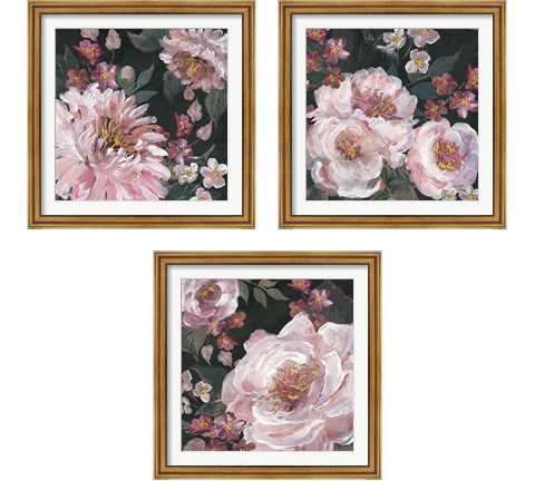 Romantic Moody Florals on Black 3 Piece Framed Art Print Set by Tre Sorelle Studios