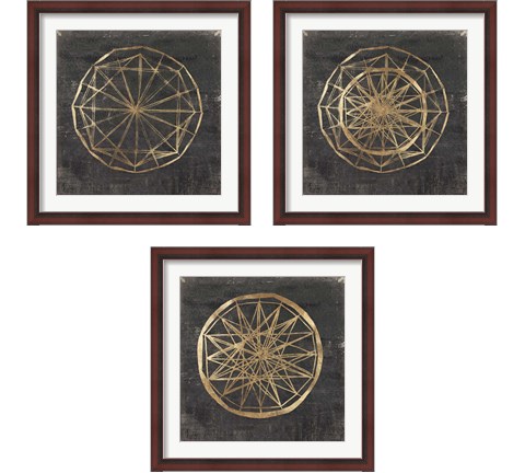 Golden Wheel 3 Piece Framed Art Print Set by Aimee Wilson