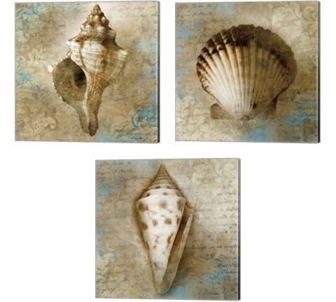 Ocean Treasures 3 Piece Canvas Print Set by Keith Mallett