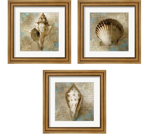 Ocean Treasures 3 Piece Framed Art Print Set by Keith Mallett