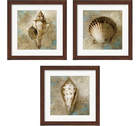 Ocean Treasures 3 Piece Framed Art Print Set by Keith Mallett