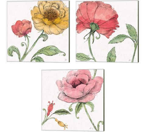 Blossom Sketches Color 3 Piece Canvas Print Set by Daphne Brissonnet