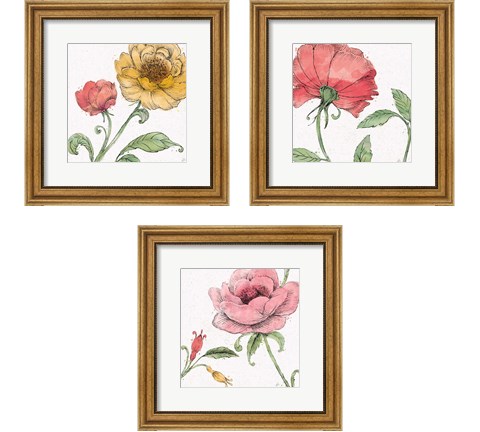 Blossom Sketches Color 3 Piece Framed Art Print Set by Daphne Brissonnet