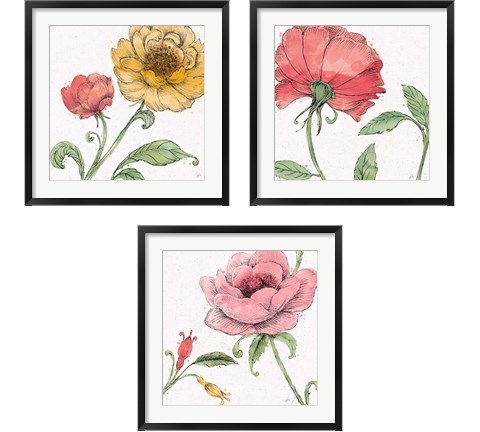 Blossom Sketches Color 3 Piece Framed Art Print Set by Daphne Brissonnet