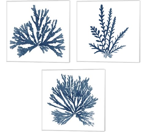 Pacific Sea Mosses Blue on White 3 Piece Canvas Print Set by Wild Apple Portfolio