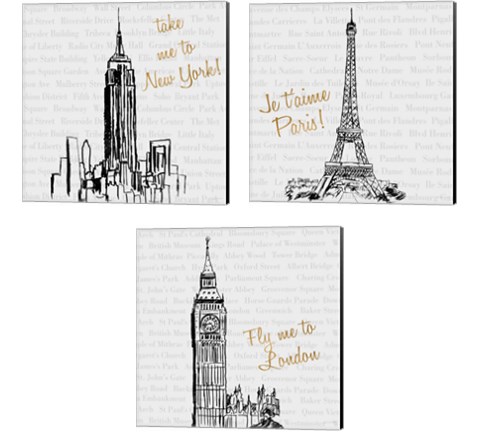 Travel Pack 3 Piece Canvas Print Set by Nick Biscardi