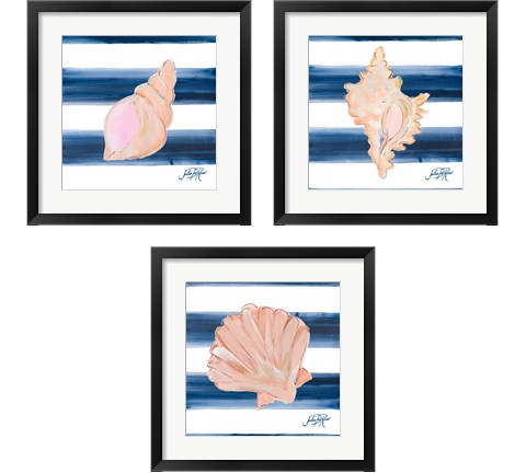 Nautical Shell 3 Piece Framed Art Print Set by Julie DeRice