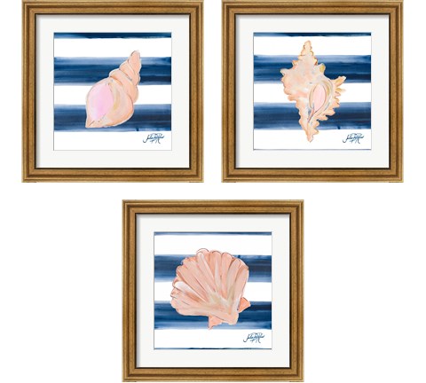 Nautical Shell 3 Piece Framed Art Print Set by Julie DeRice