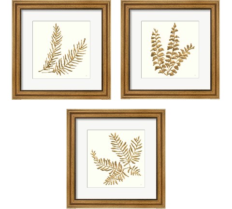 Gilded Fern 3 Piece Framed Art Print Set by Chris Paschke