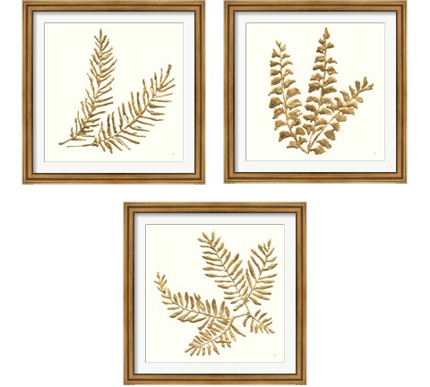 Gilded Fern 3 Piece Framed Art Print Set by Chris Paschke