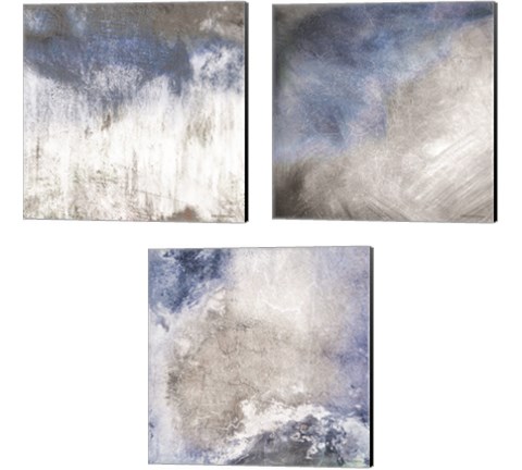 Rugged Coastal Abstract 3 Piece Canvas Print Set by Bluebird Barn