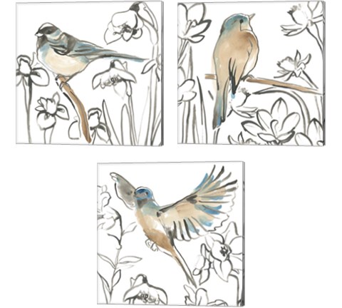 Songbird Meadow 3 Piece Canvas Print Set by June Erica Vess
