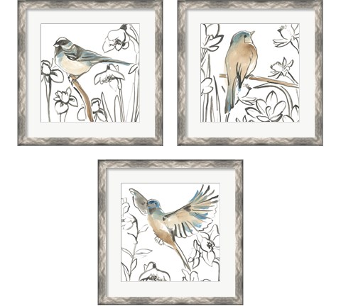 Songbird Meadow 3 Piece Framed Art Print Set by June Erica Vess