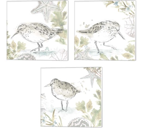 Seaside Sandpipers 3 Piece Canvas Print Set by June Erica Vess