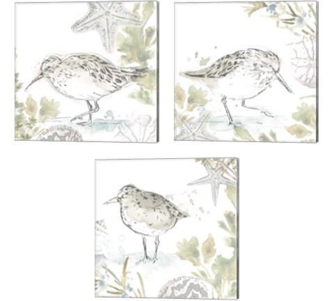 Seaside Sandpipers 3 Piece Canvas Print Set by June Erica Vess